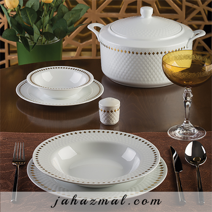 چینی زرین گلدن ری